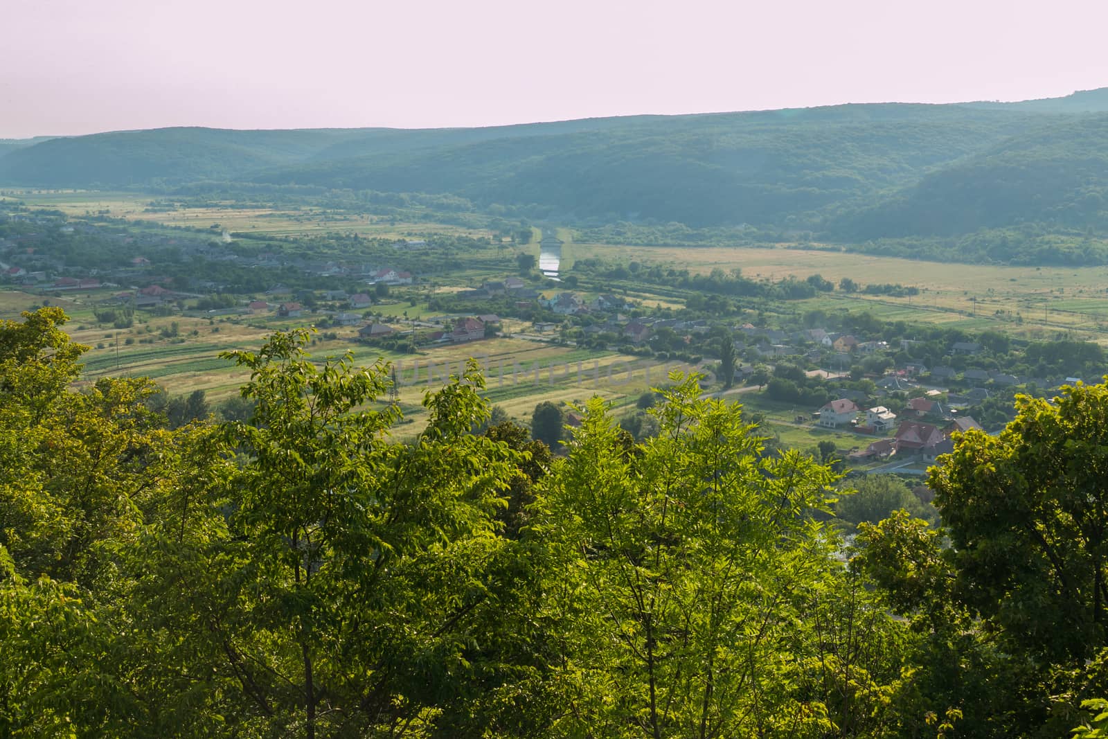 A picturesque view from a hill through the tops of deciduous trees to a cozy small village near a beautiful green mountain by Adamchuk