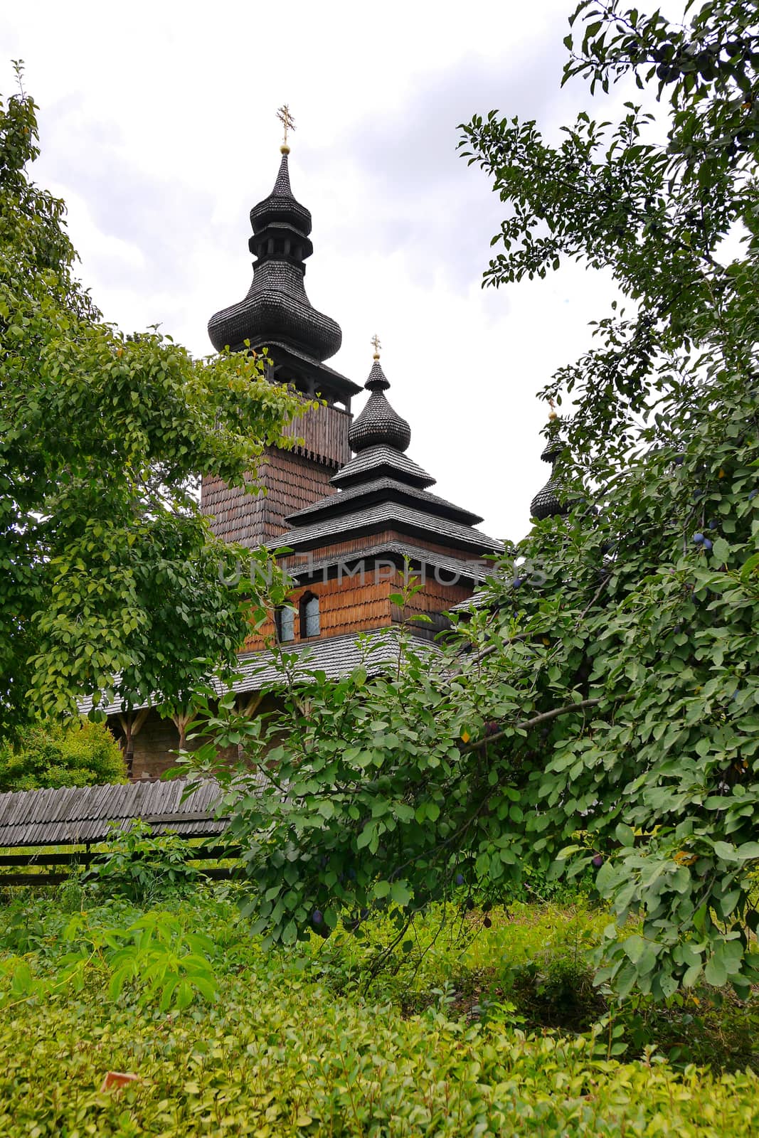 A wooden church with black domes hid behind tall, dense trees