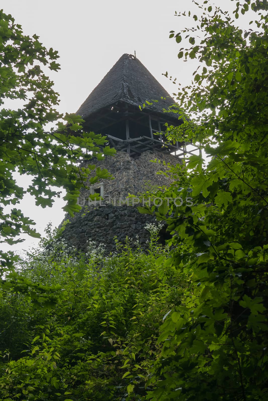 View of an ancient high stone tower in thickets of deciduous trees