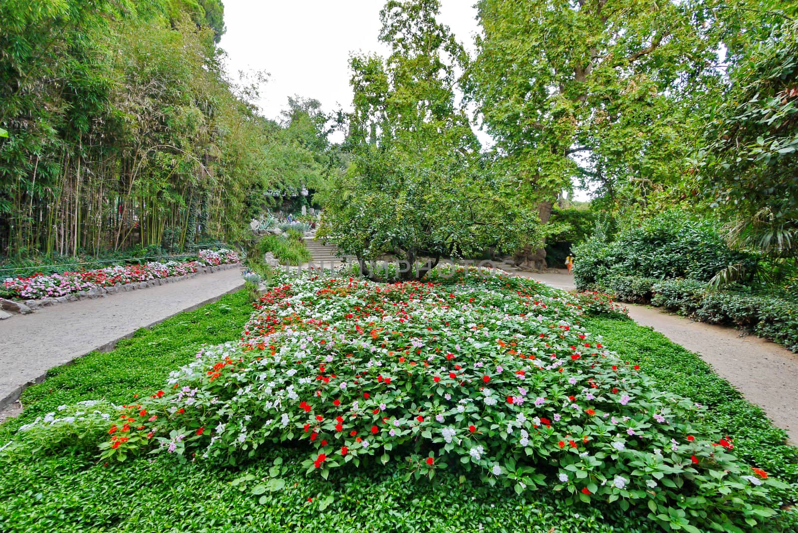 small colored flowers on the flowerbed in an exotic park with paths,