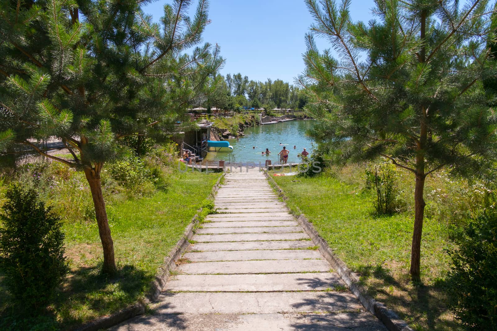 Down between the coniferous trees to the pond. The glint of water blinds the eyes