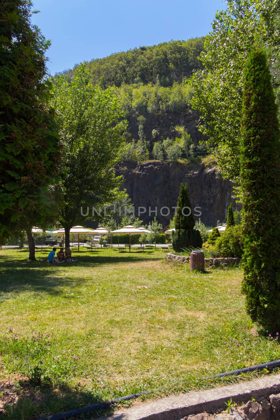 Young people are sitting in a park on a lawn in the shade of trees at the foot of the cliff
