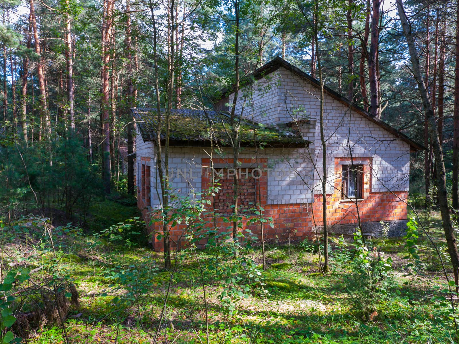 Old abandoned house made of bricks in a pine forest. With embedded windows and moss growing on the slate roof.