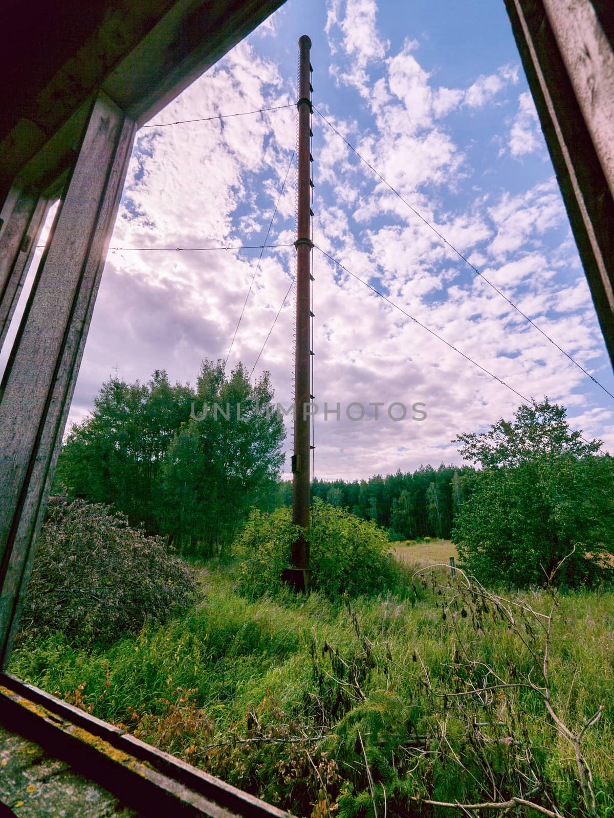 View from the old window on the pipe and overgrown shrubbery near the house