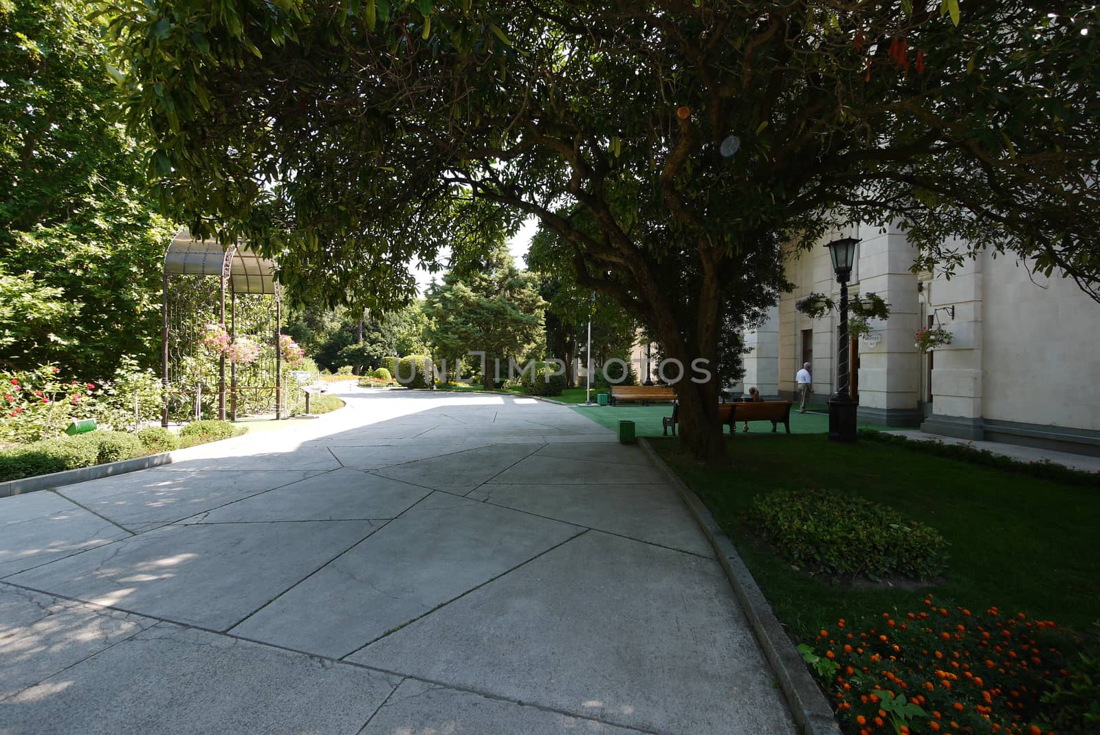 Alley in the park passing next to the building with a colorful flower bed and sitting on a bench in the shade of a large tree.