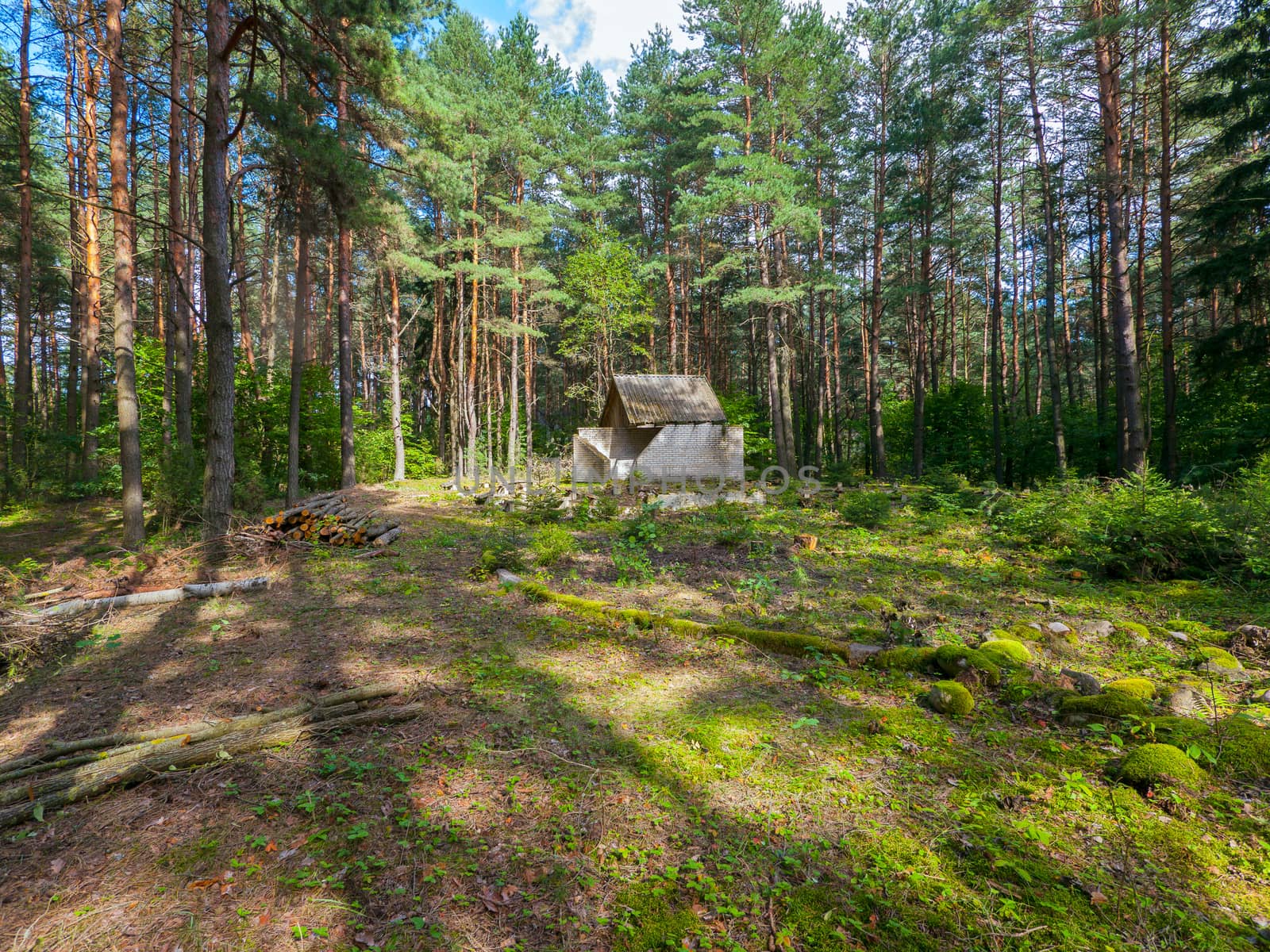 brick building on a lawn in a pine forest on a clear, sunny day