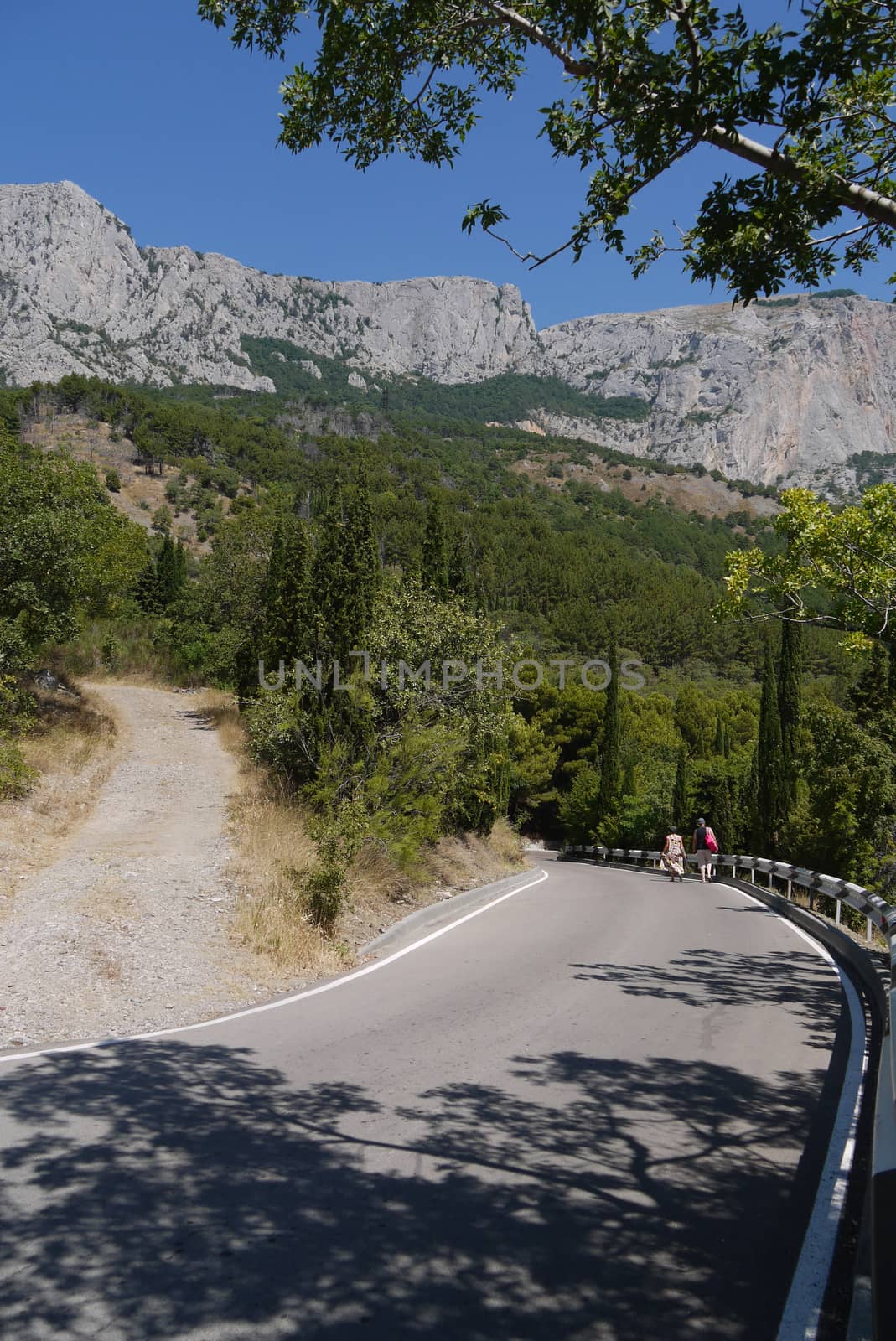 A steep winding road against the backdrop of green trees and high mountains