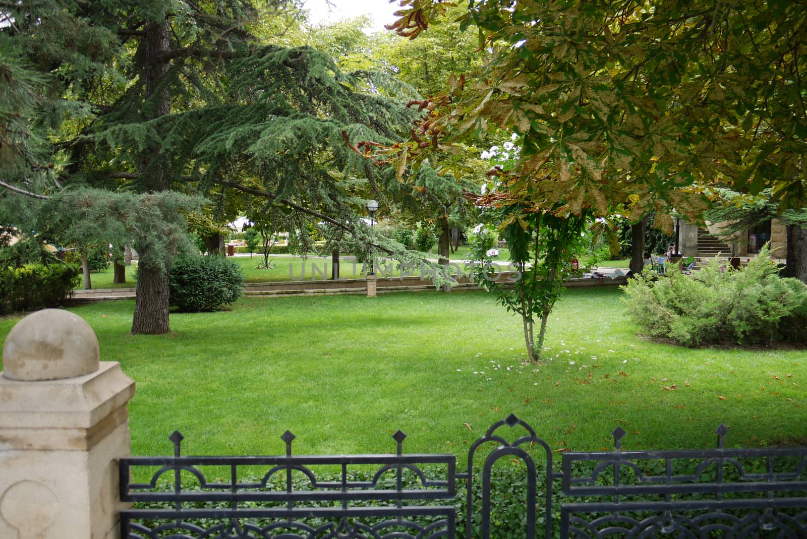 A beautiful green lawn in the park behind a low fence with a metal fence with growing firs and chestnuts.