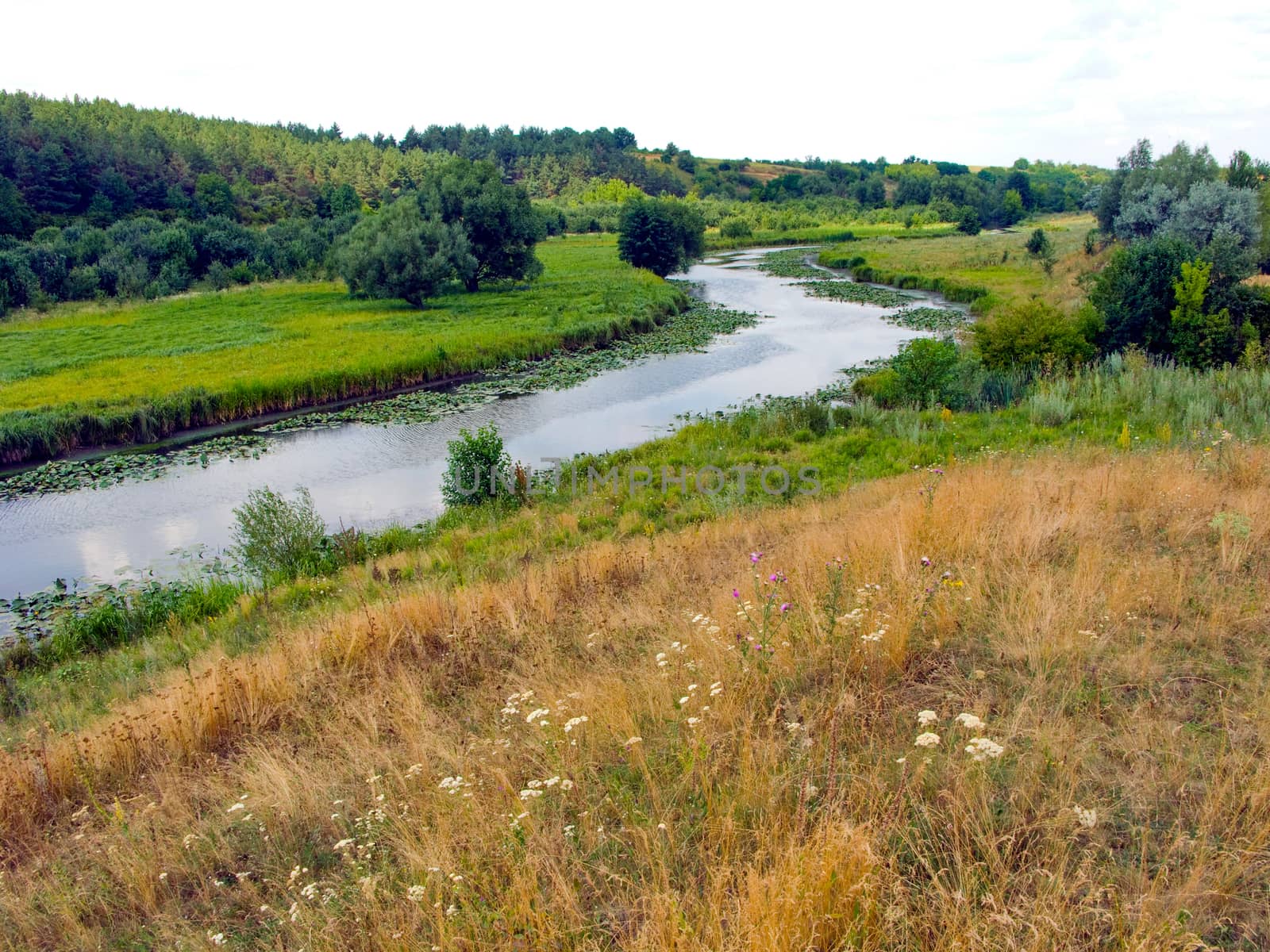 An annoying river flows through green meadows. On the foreground is a lawn with dry grass