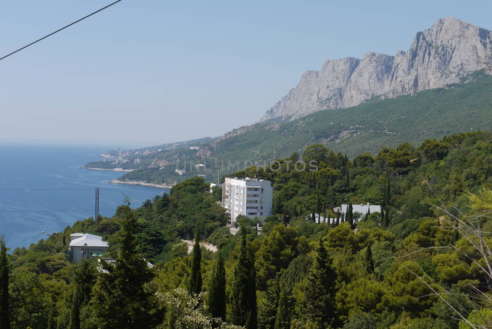 A beautiful landscape of nature near the sea coast with green slopes houses looking out between the trees and the blue sea stretching away to the horizon line.