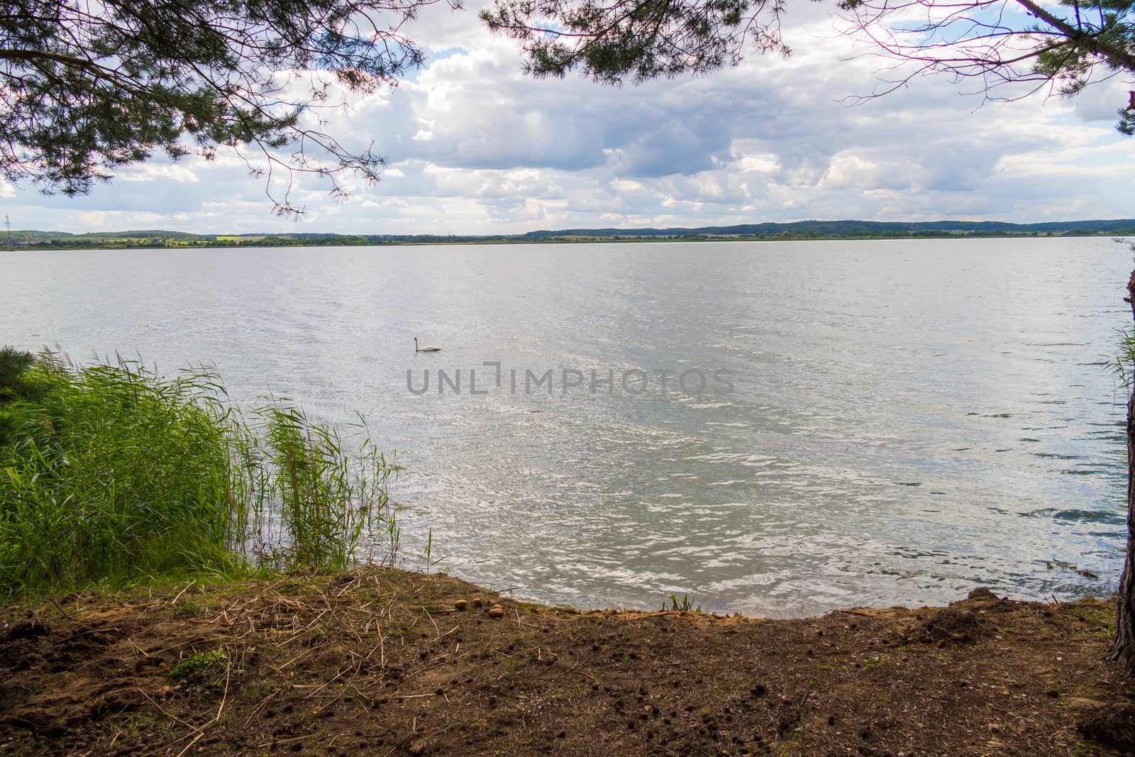 A beautiful view from the shore of a large lake strewn with pine cones on mountains far away by Adamchuk