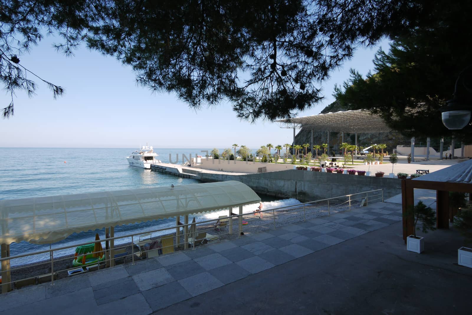 A white boat leaves from the pier with small palm trees to the open blue sea