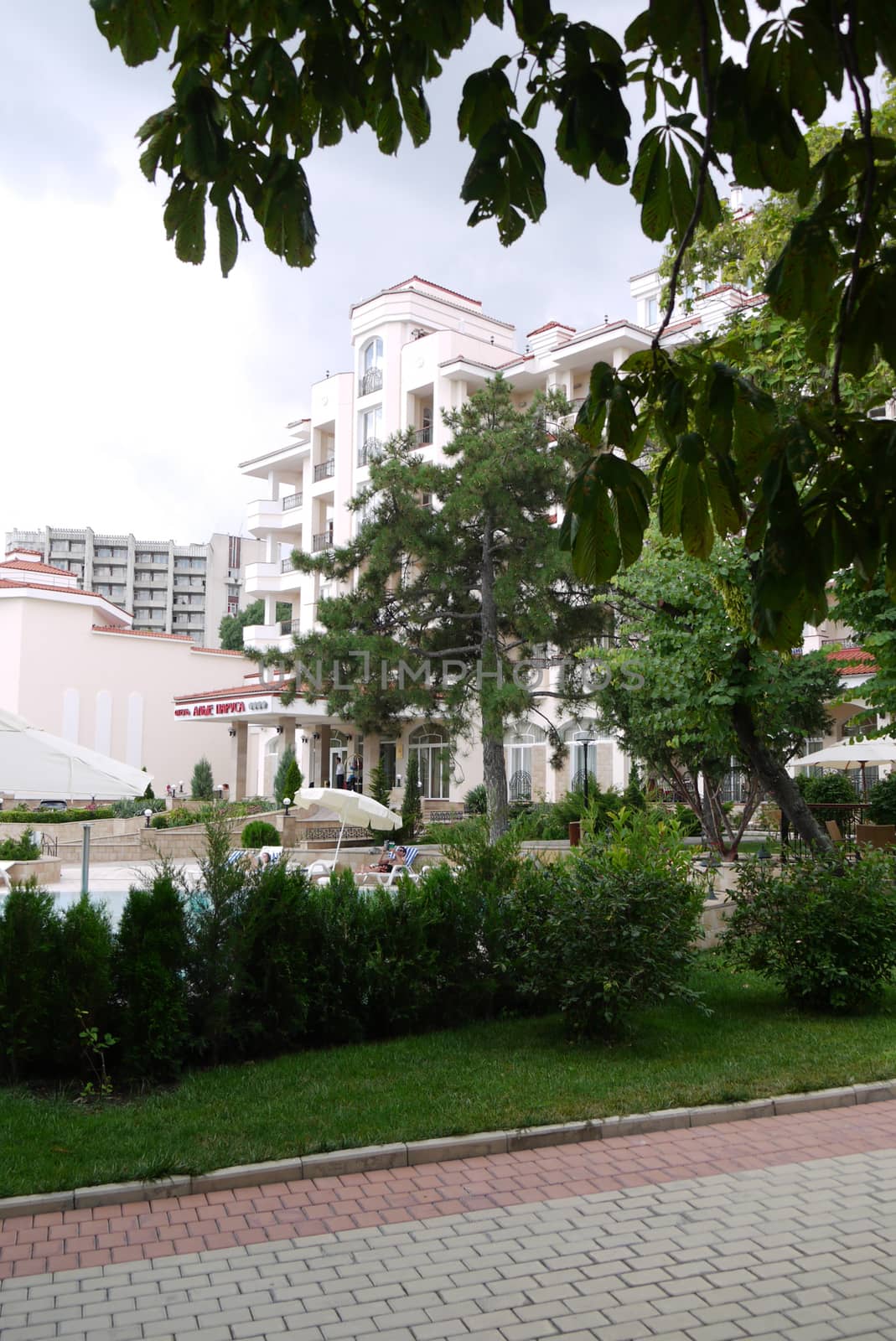 Beautiful view of a large white hotel with a swimming pool because of the greenery of bushes and trees growing on the flowerbed.