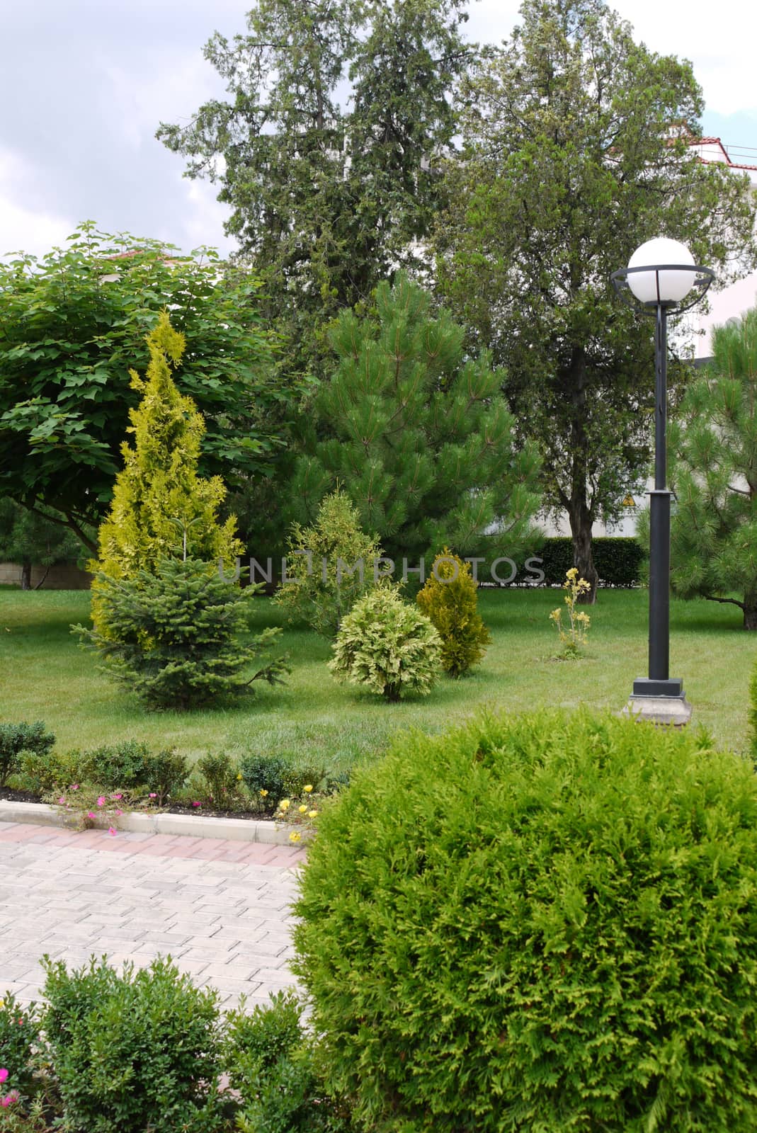 A spacious park alley lined with tiles, with decorative flower beds, lush green bushes and small spruce trees