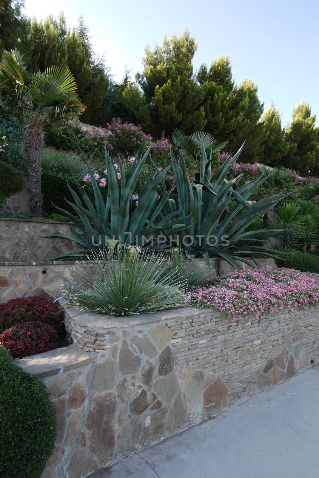 a flower bed on stone cascades of flowering and exotic leafy plants by Adamchuk