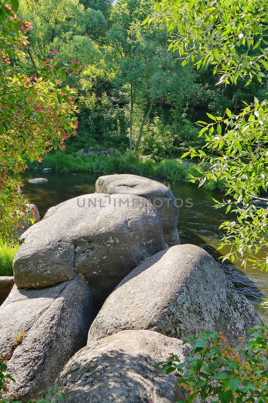 Large stones with water-polished surface lying on the shore of a small river amidst picturesque nature in green thickets of bushes and trees. by Adamchuk