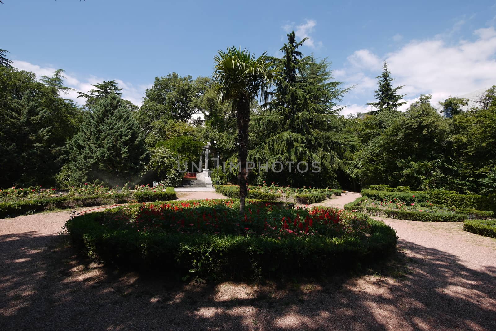 A flower bed with small ornamental flowers, green bushes and a high exotic palm tree by Adamchuk