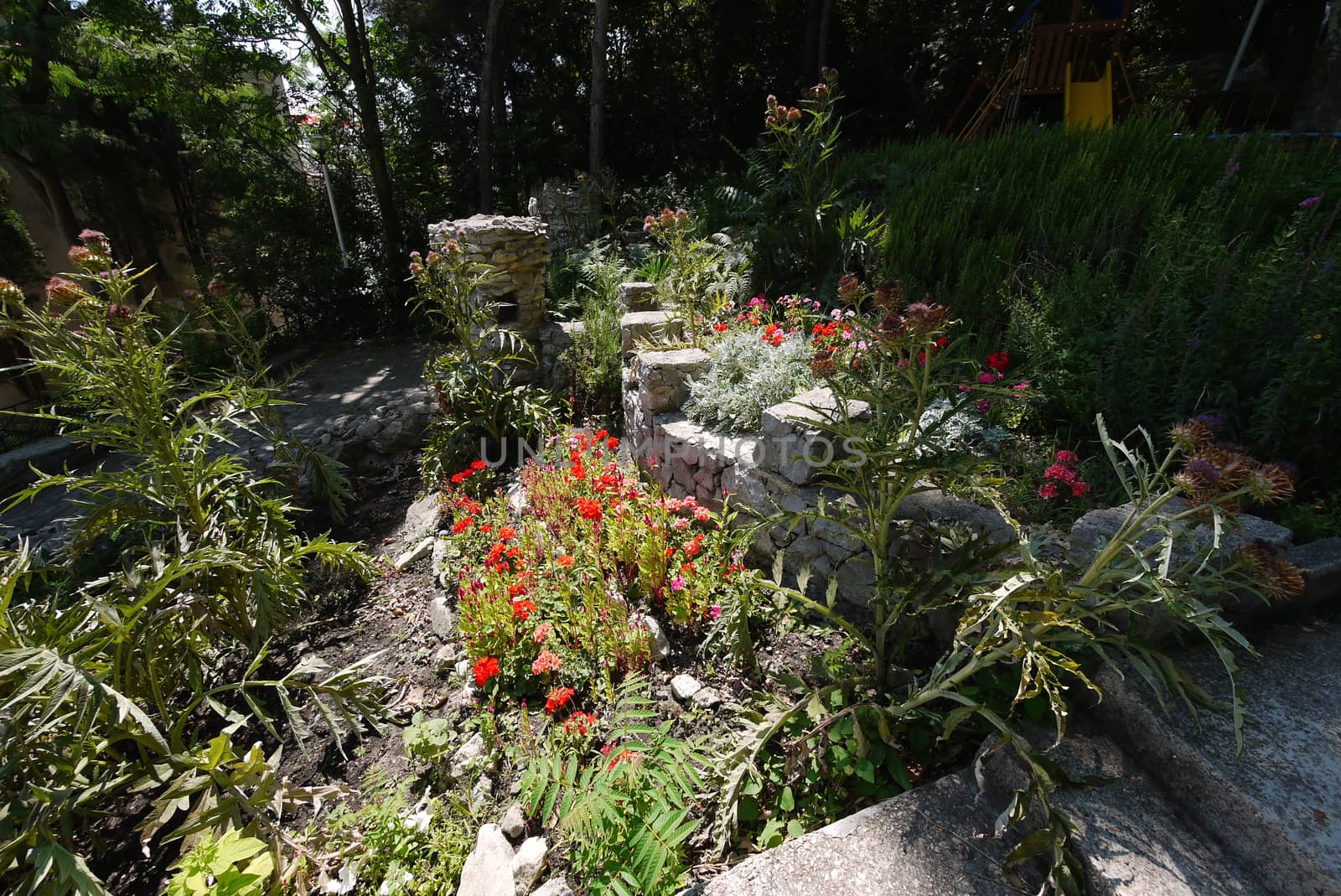 Decorative flowerbed laid out of stones with growing flowers between them located in the shade of trees