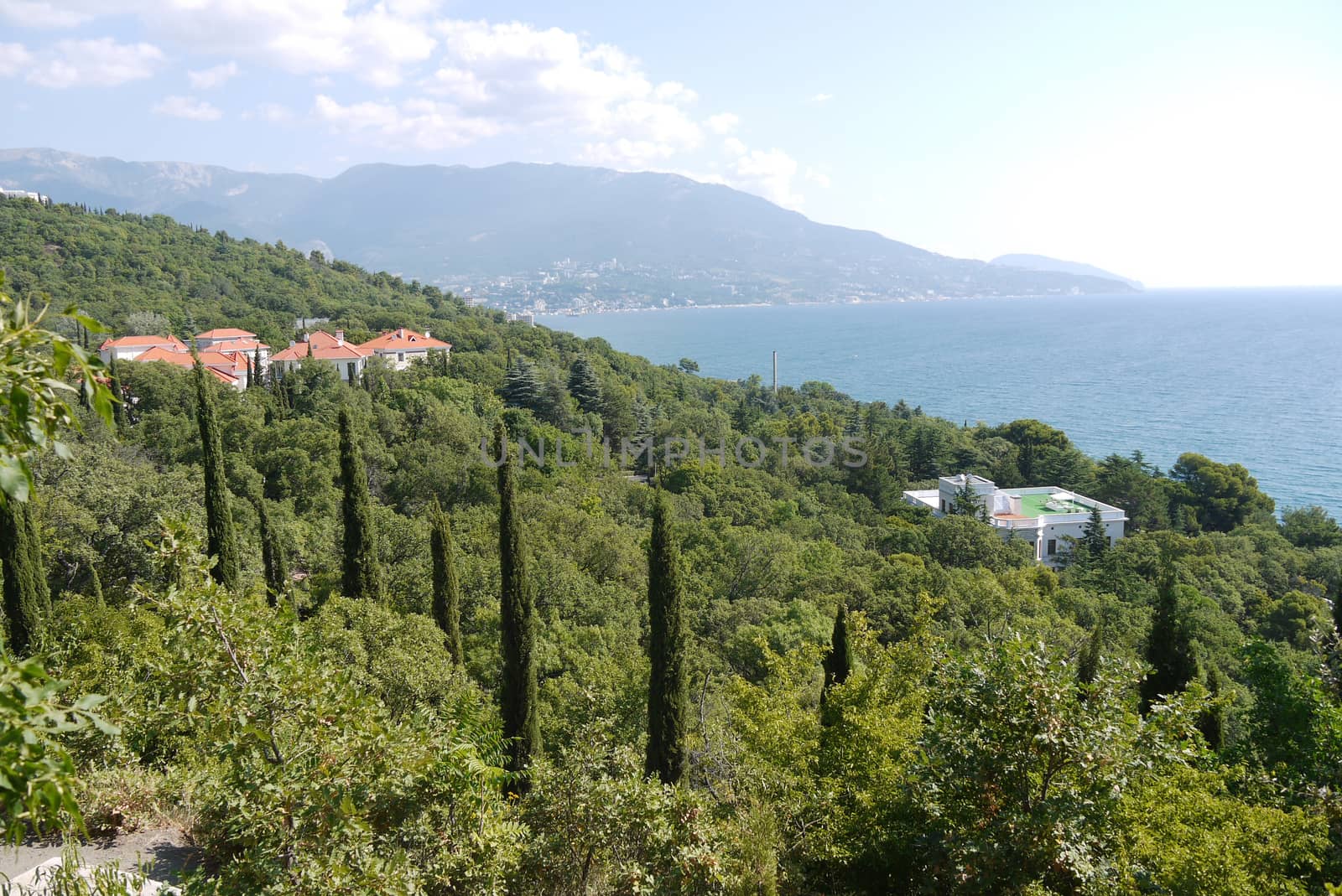 Green, tall trees prchut roofs of houses on the embankment near the blue sea by Adamchuk