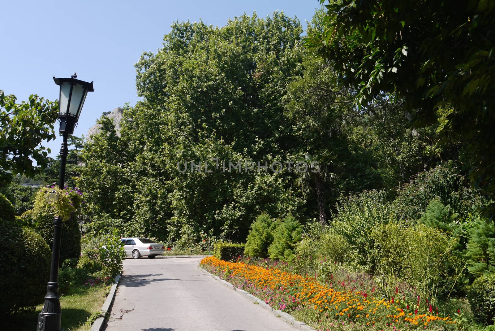 A lonely lopsided lantern standing near the asphalt path in the park with flowers growing along it and thick green trees around.