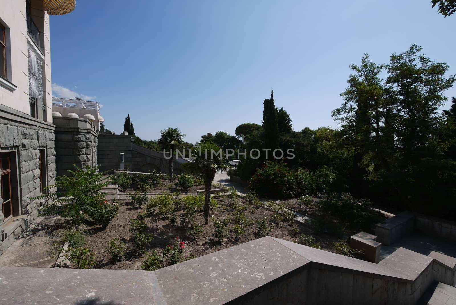 view from the granite steps of the stairs to the park with palm trees growing in the flower bed and blue cloudless sky by Adamchuk