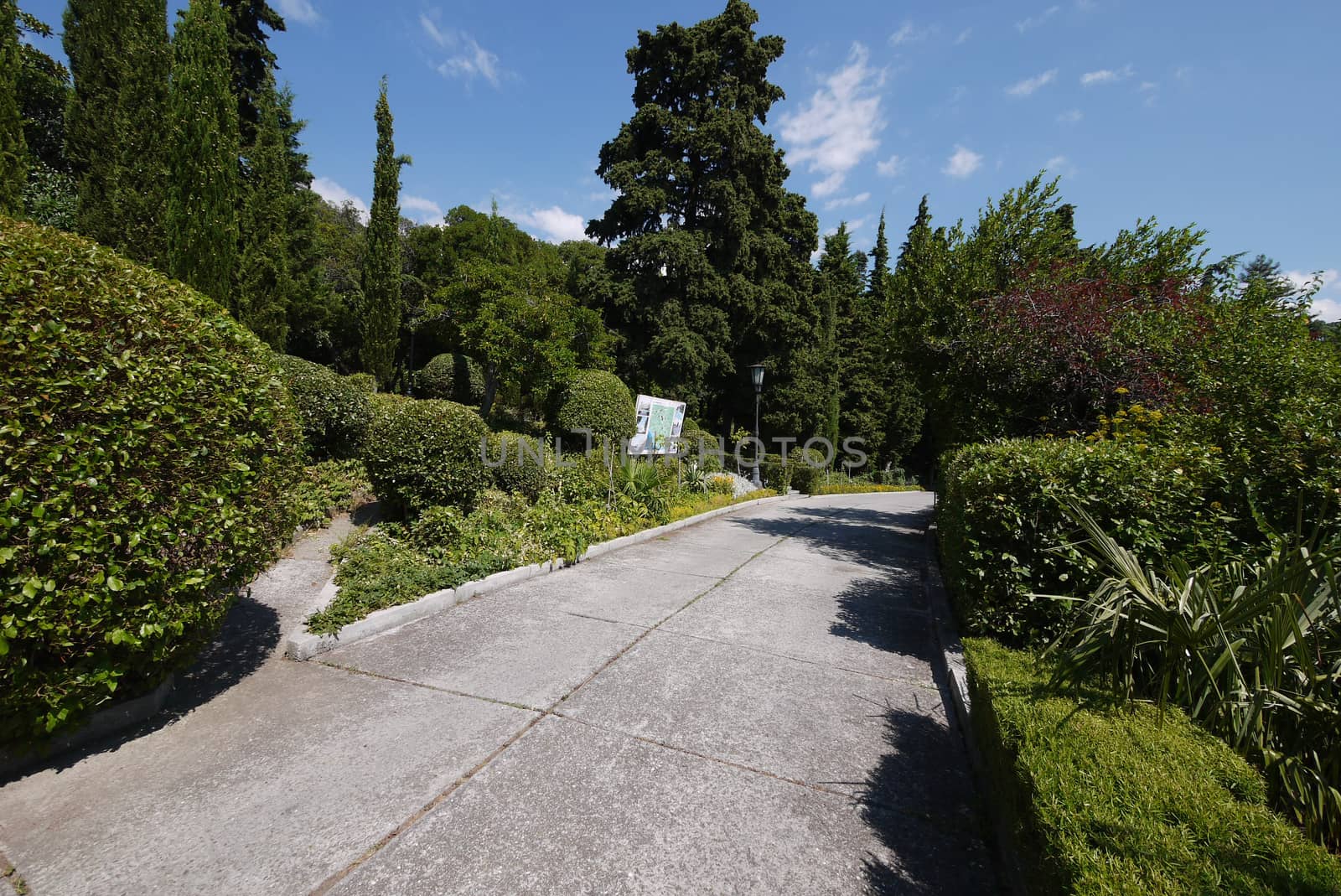 A path lined with plates in a picturesque park with large lush bushes and green trees. A beautiful place for rest and walking.