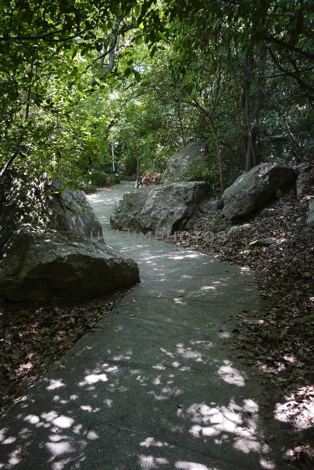 A path laid out of large slabs in the forest often walking past huge boulders lying on the side