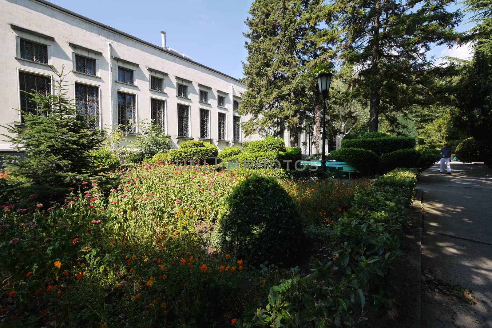 a flowerbed in the shade of trees near the building with barred windows and walking along the path