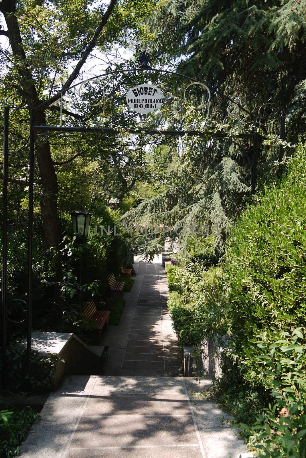 entrance to the alley through the park to the pump room with mineral water for the health of the organism