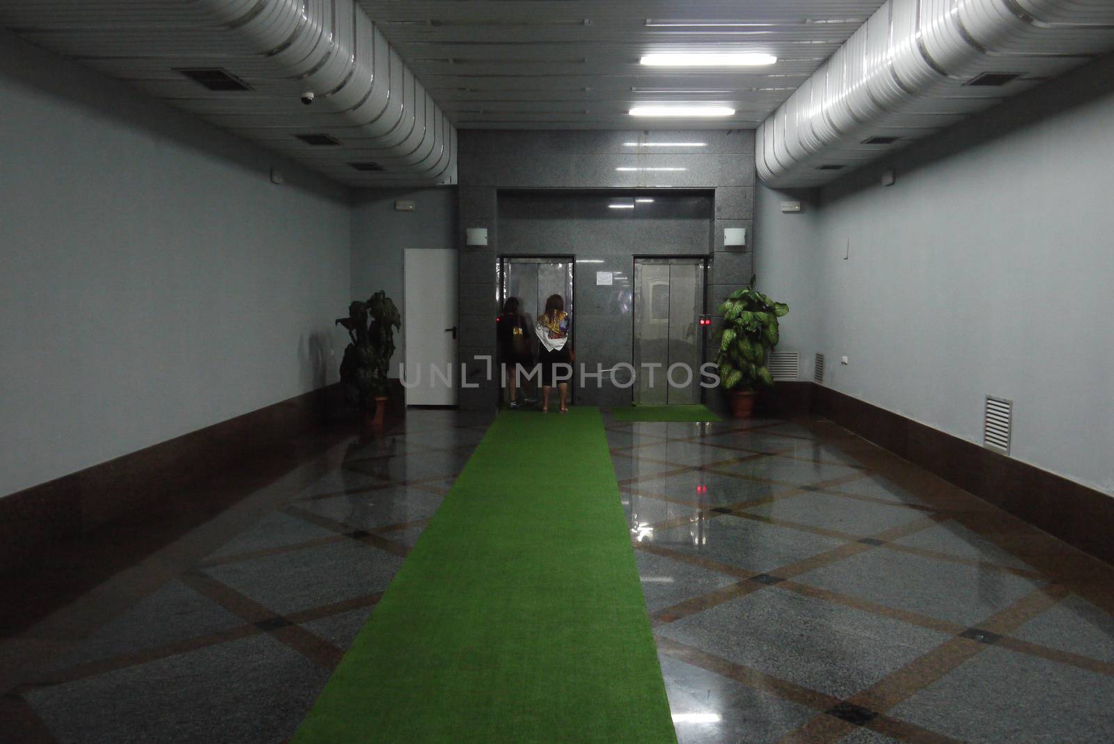 A few guests are expecting an elevator with a spacious hall with a marble floor and a green carpet on it