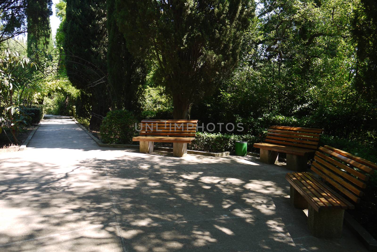 Wooden benches in the park in a cozy picturesque place in the shade of trees next to the path is a good place to relax and unwind from the daily hustle and bustle.