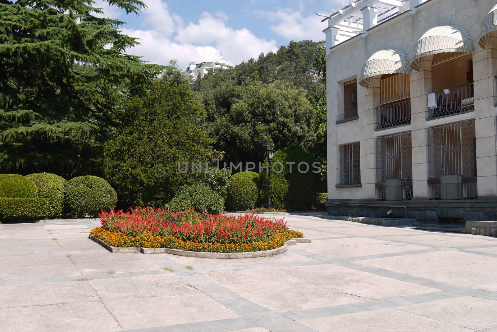 a flower bed on a background of a building, round decorative bushes and firs by Adamchuk