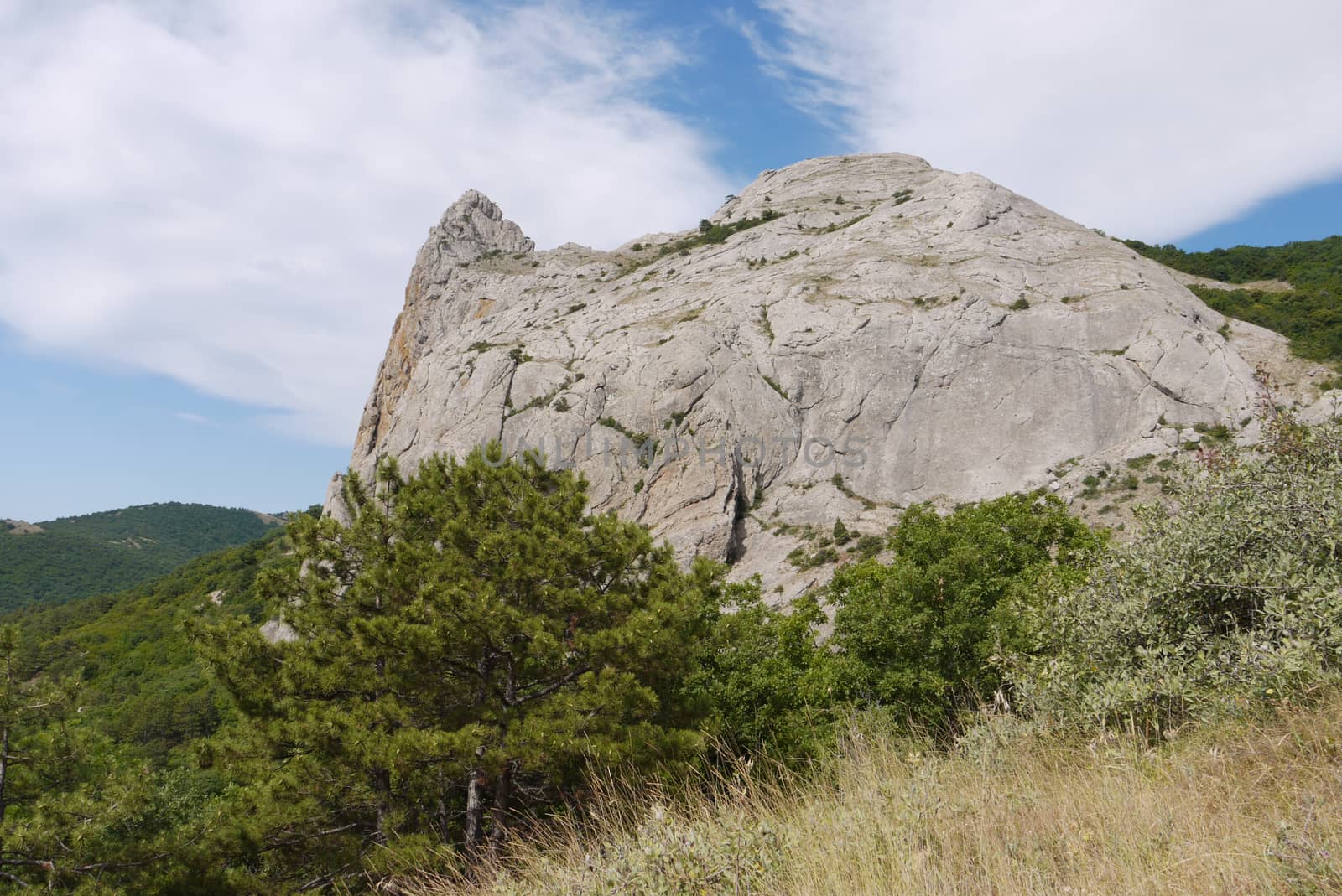 Pine over dry grass at the foot of a rocky spire rock against a blue sky background