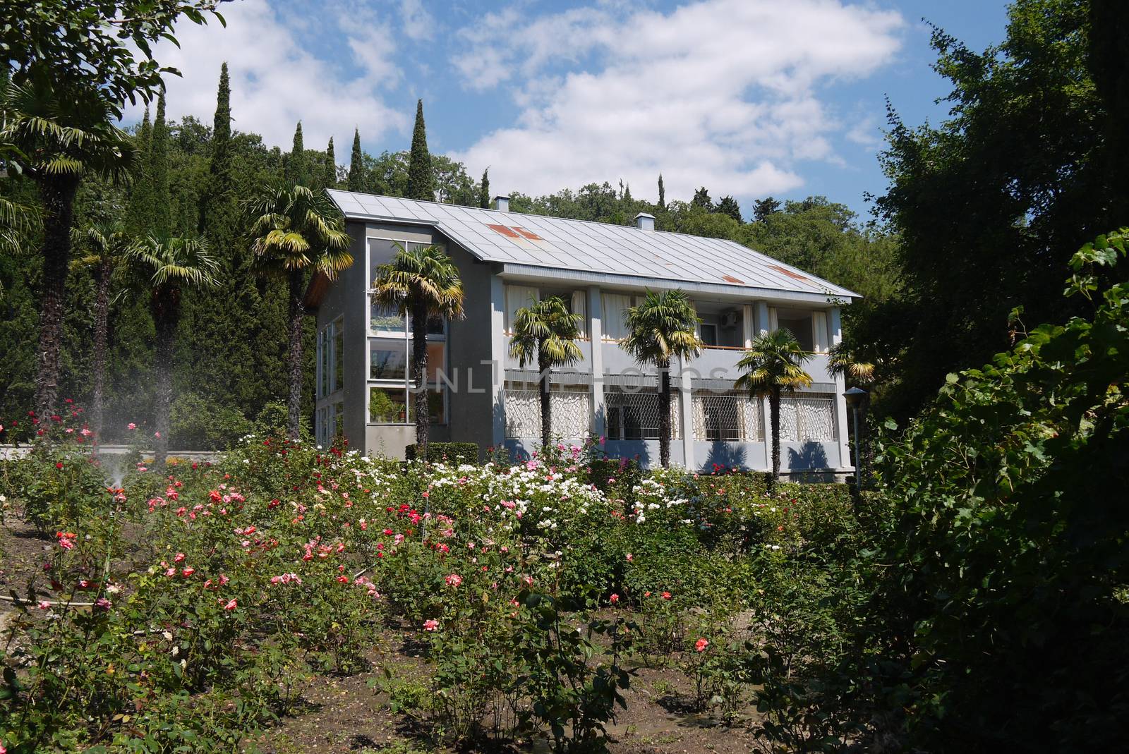 The building of the sanatorium complex against the background of a large flowerbed, beautiful palms and tall green cypresses