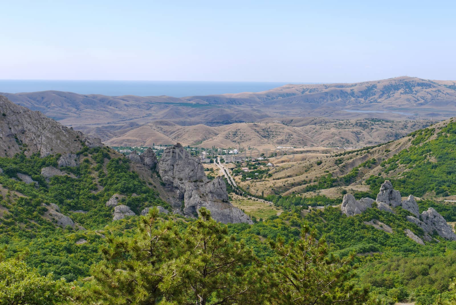 Fir on a background of stony valley in the mountains and the sea