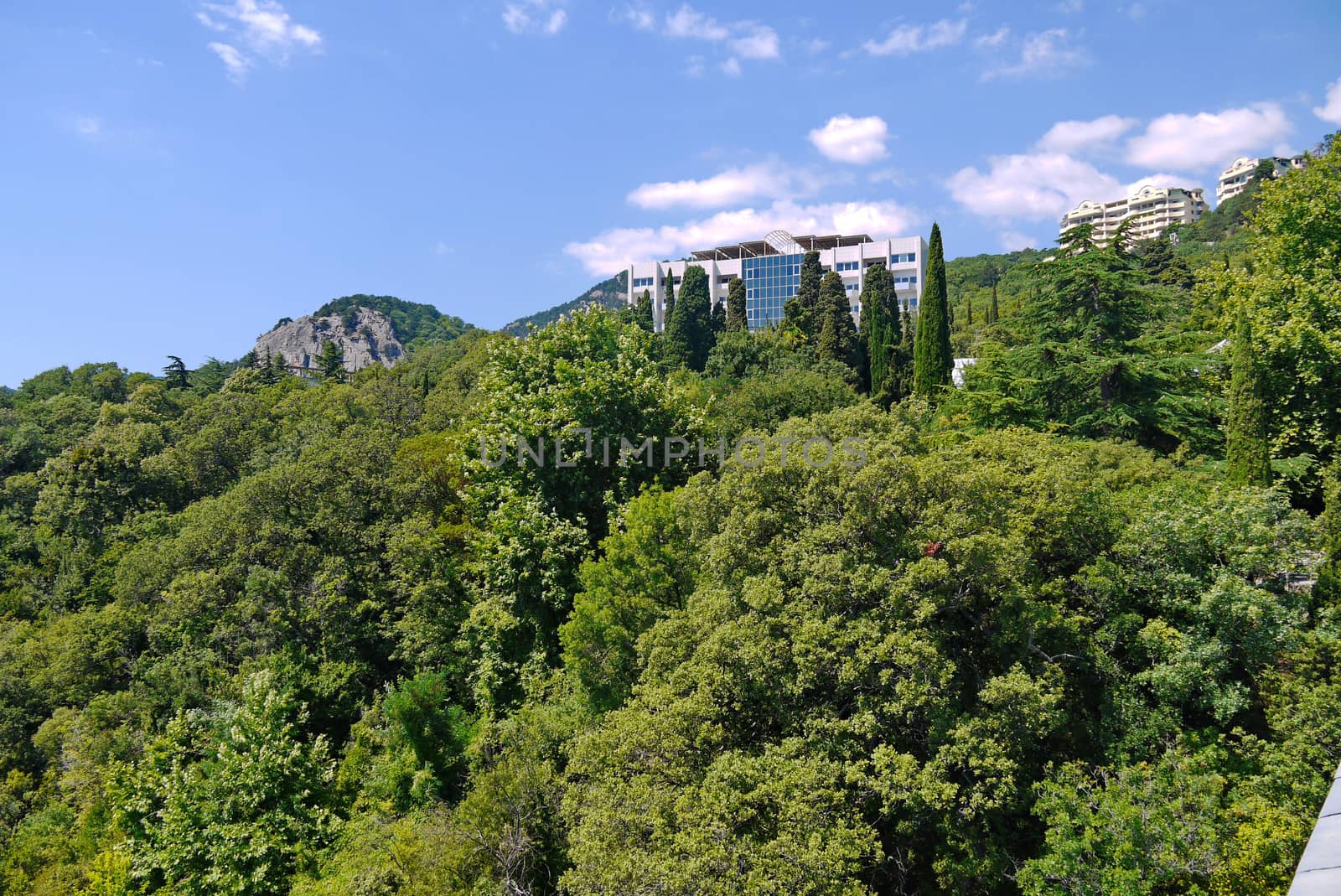 High variety of bushes and trees hide several multi-storey houses