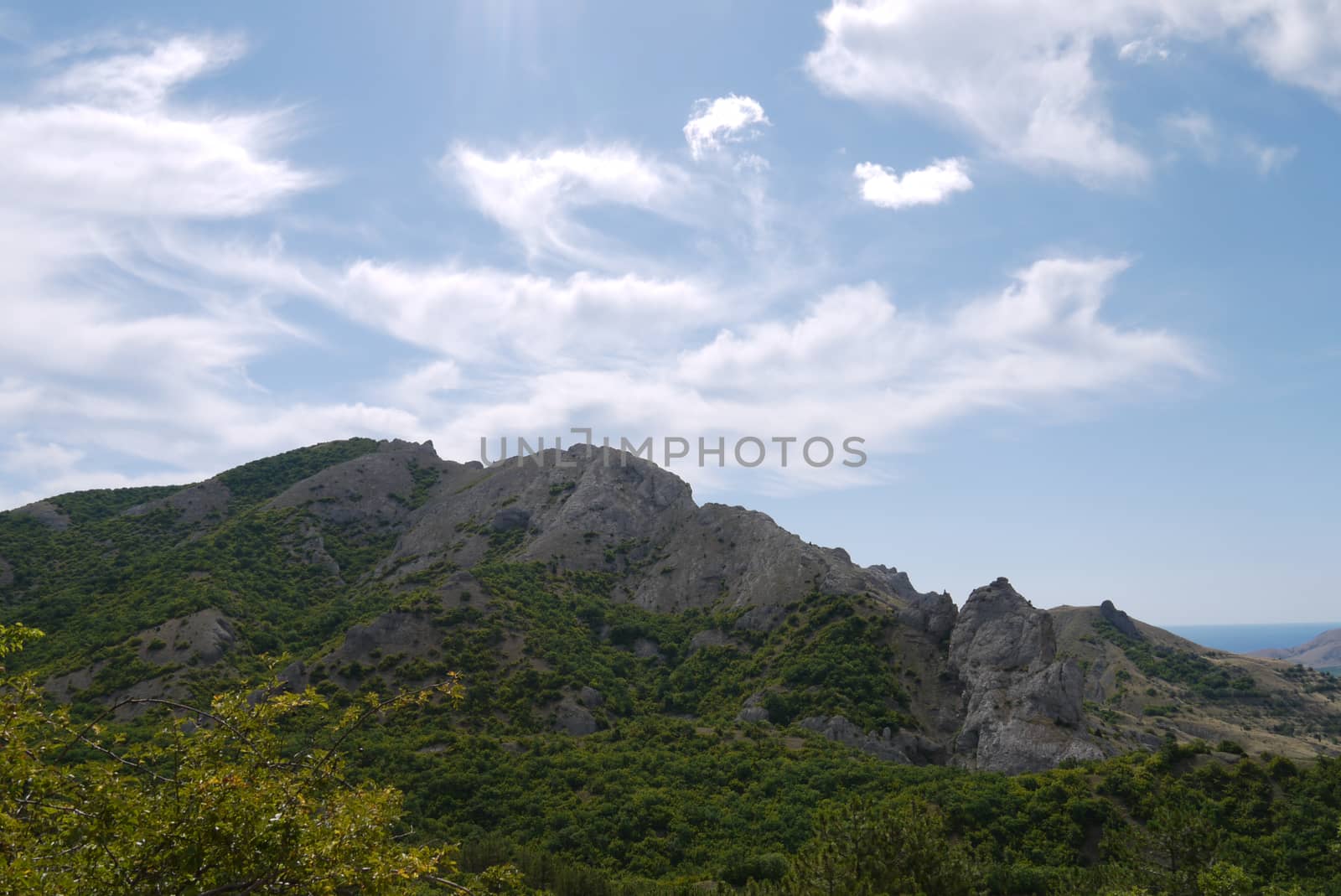 a rocky top of a mountain covered with bushes that covers a blue sea