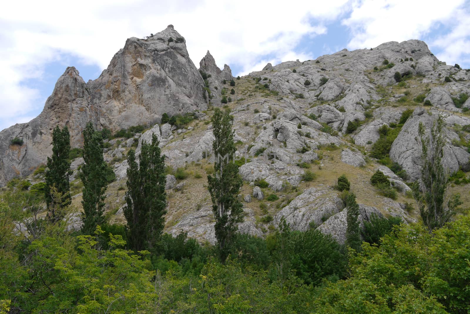 stony mountain with forest and cypress trees in the foreground by Adamchuk