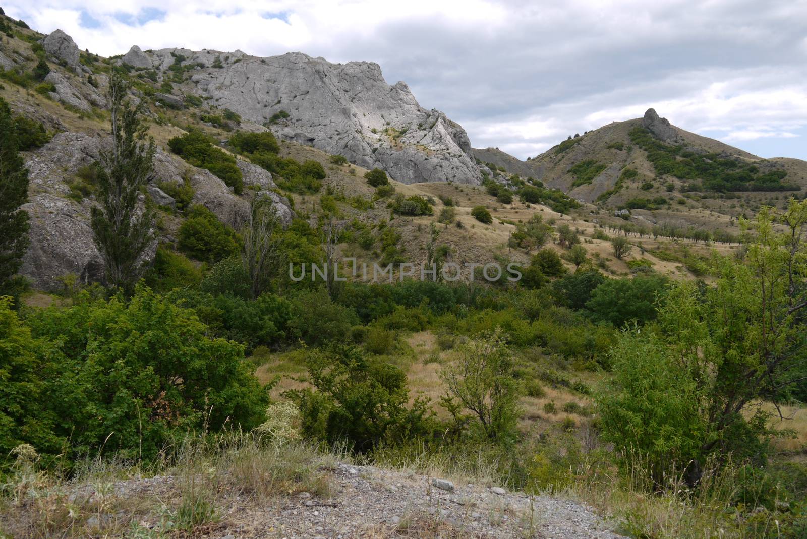green living bushes and dry grass at the foot of a rocky mountain