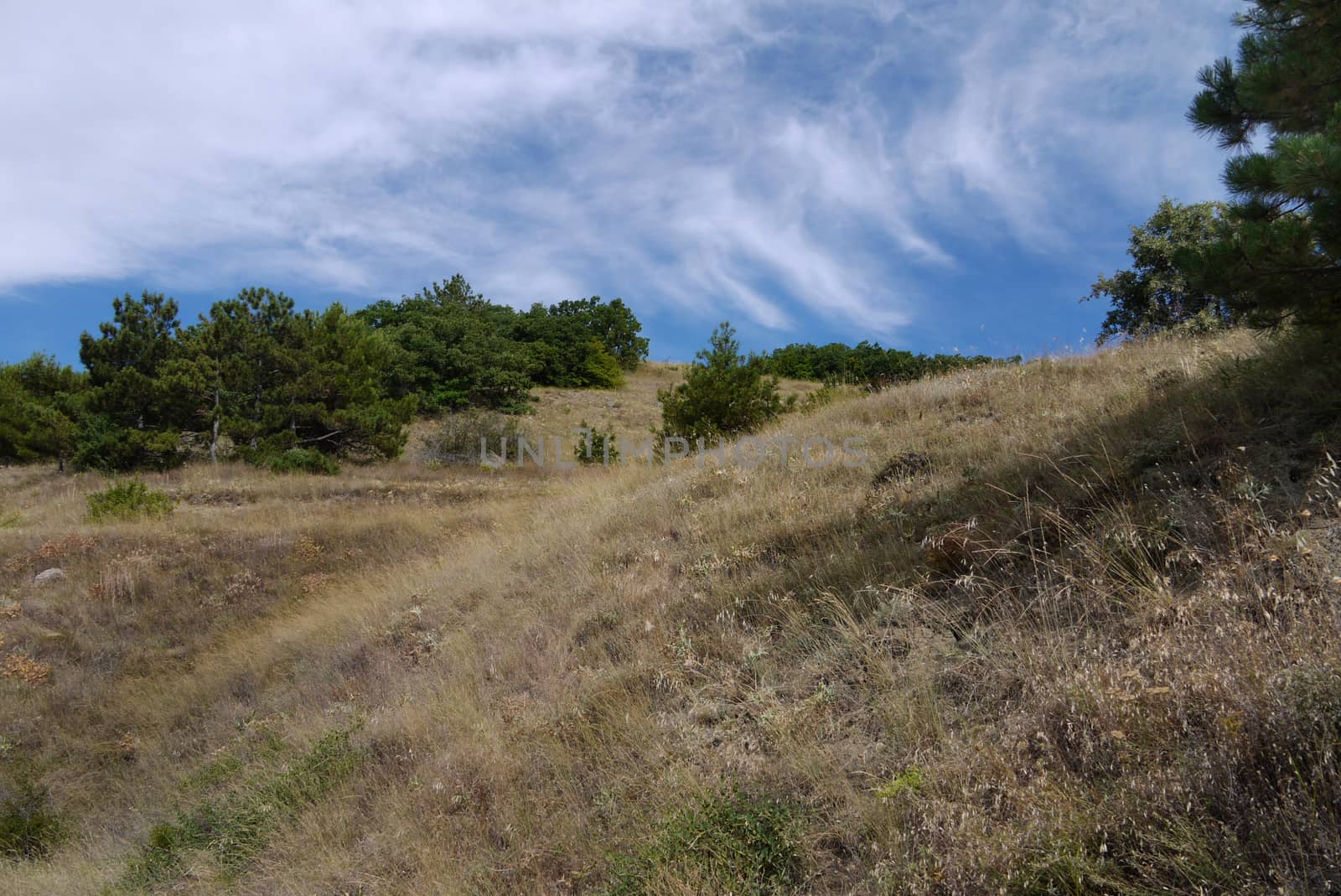 blue sky with blurred clouds over dry grass on a hill by Adamchuk