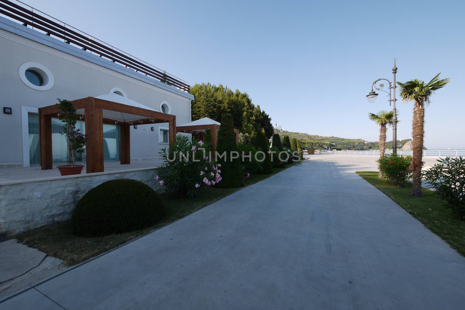 A promenade with decorative plants, palm trees and restaurants on the sides against the blue sea by Adamchuk