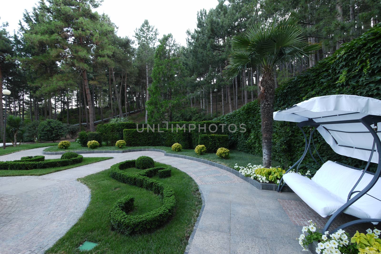 Pine square with flower beds and greenery. The bushes are evenly trimmed and labyrinths made from them by Adamchuk