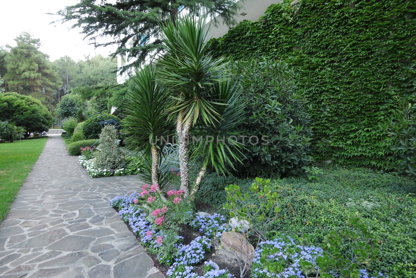 Pleasure park avenue with small palm trees and green decorative plots