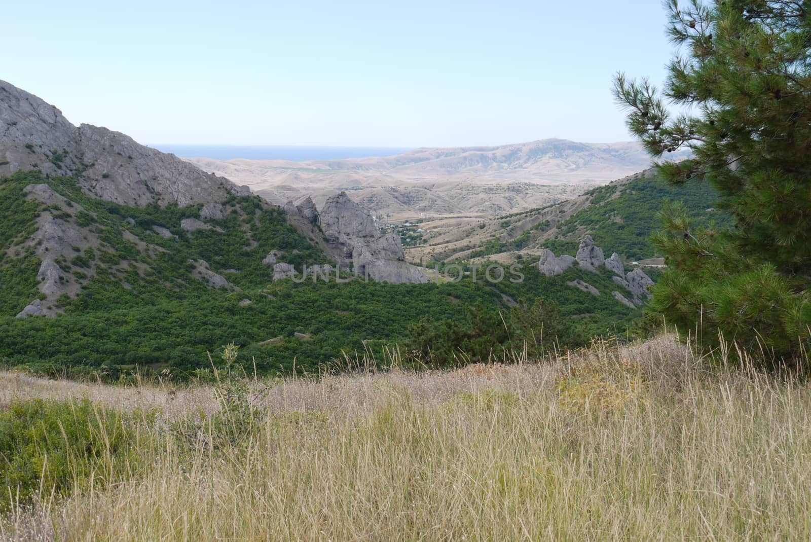 View from the top to the green valley with deciduous trees and the nearby mountain ranges