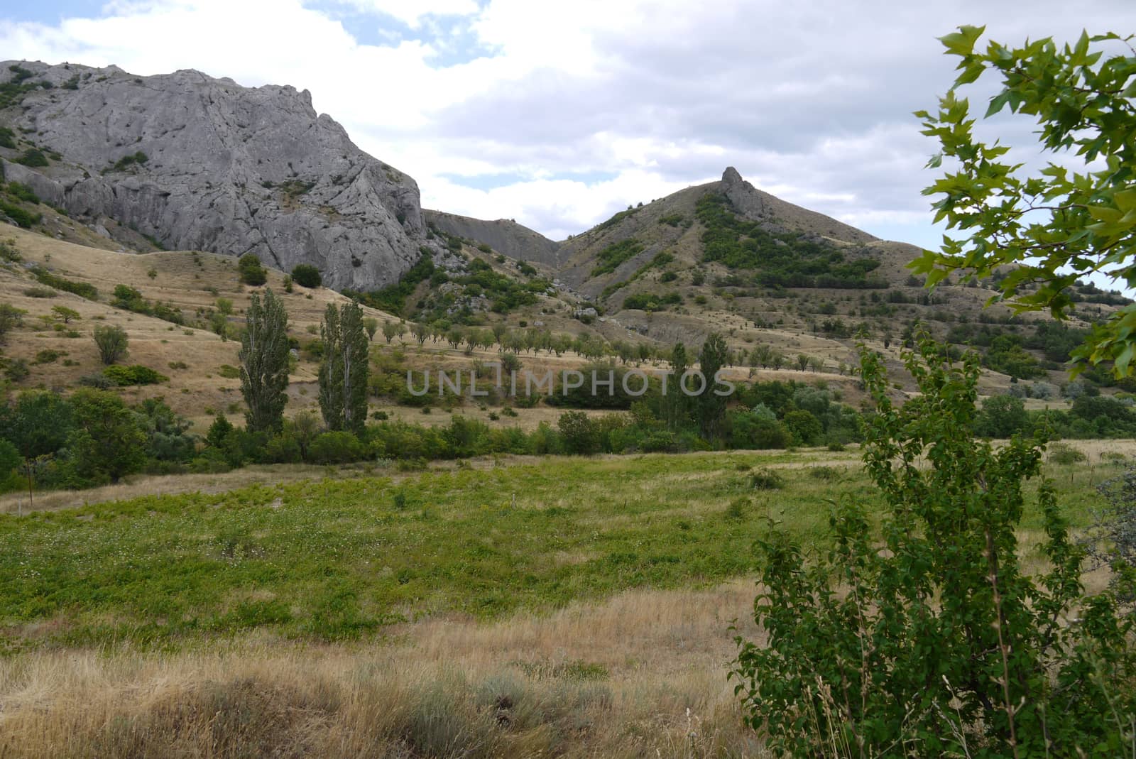 A green glade with trees against the background of two high rocky mountains by Adamchuk