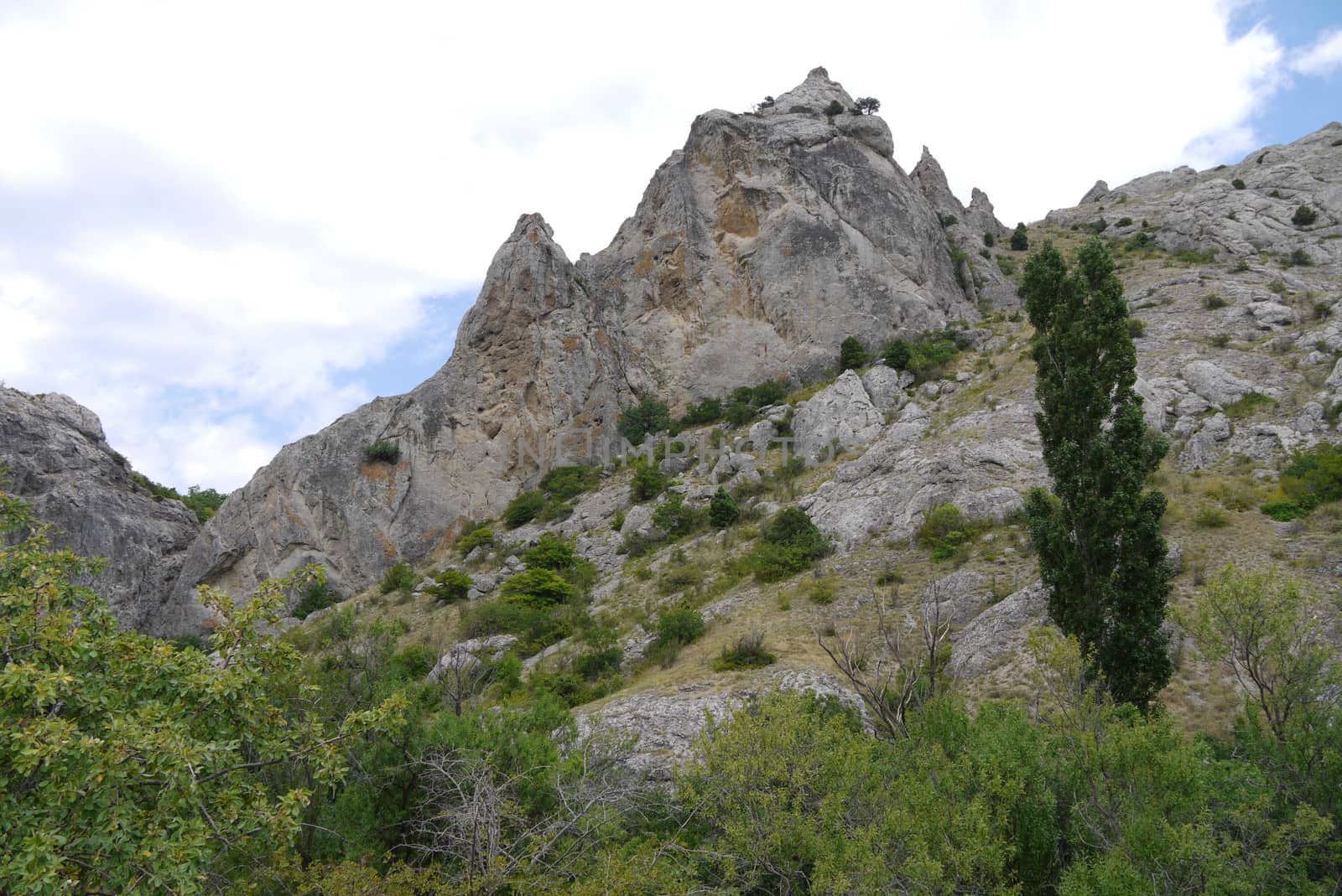 A steep, winding slope with green trees, bushes and huge rocks at the top by Adamchuk