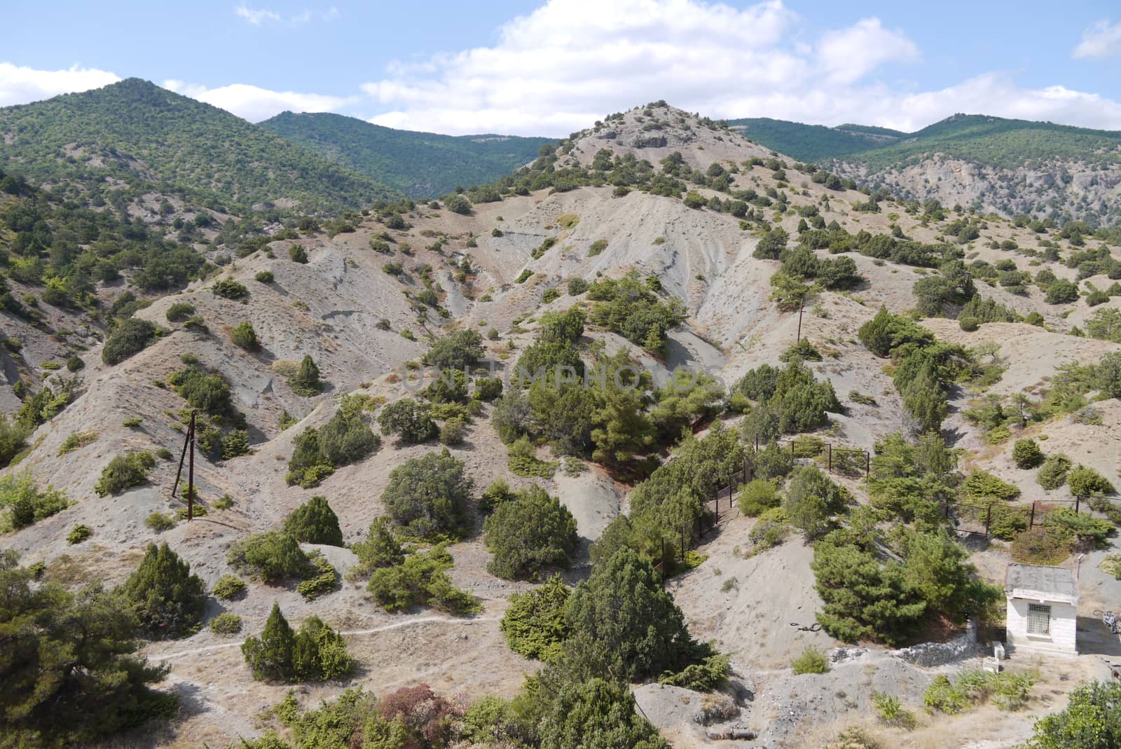 Slopes of low mountains are overgrown with a rare bush stretching away to the horizon line where they meet with a blue sky with white clouds. by Adamchuk