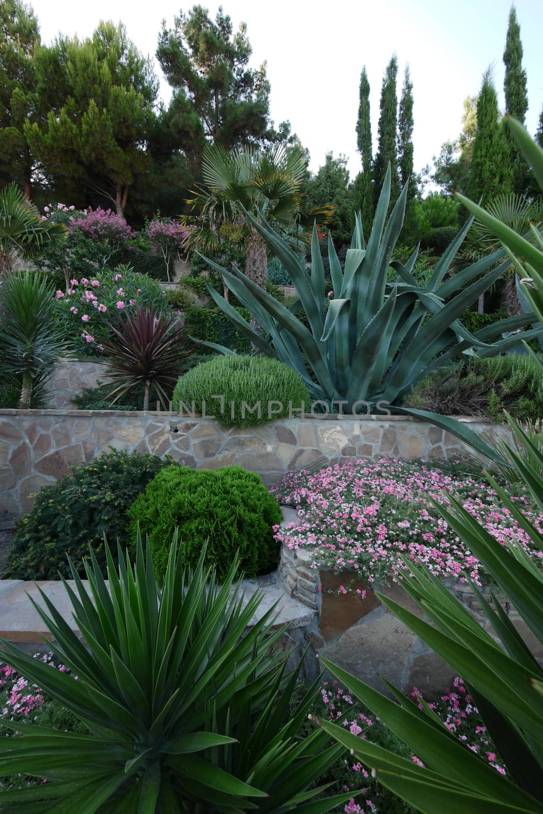 Stone fence with decorative flower beds, tall palms and green exotic plants
