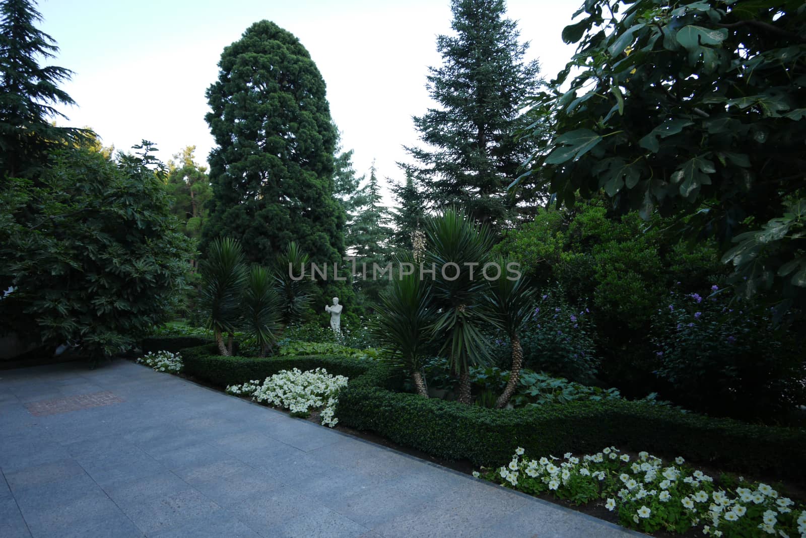 Garden with trees, palm trees, flowers and bushes in which stands a white statue of a man by Adamchuk