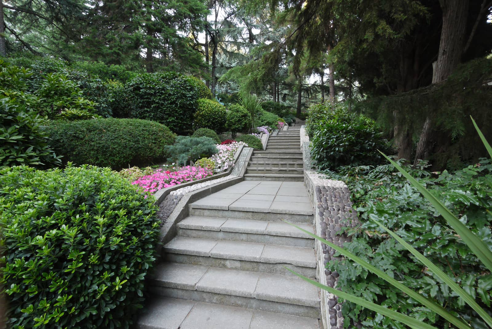 Alley in a beautiful park planted with decorative bushes and colored flowers near the curb